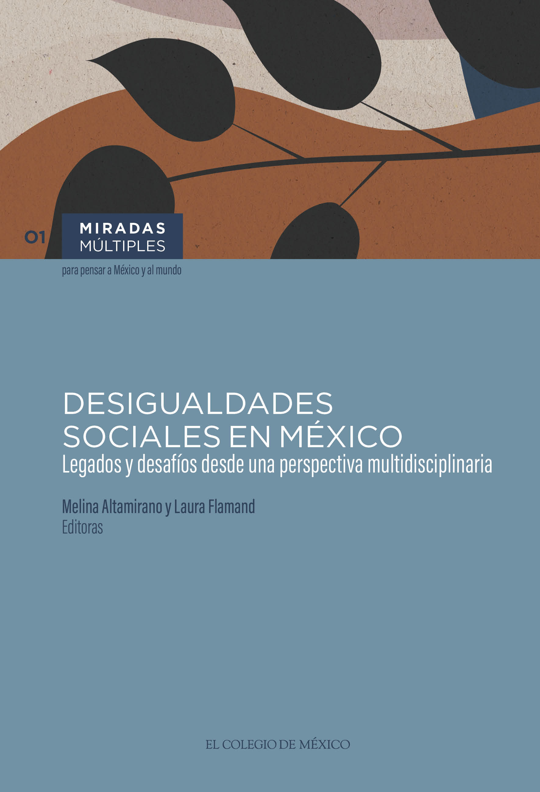 Desigualdades sociales en México: legados y desafíos desde una perspectiva multidisciplinaria