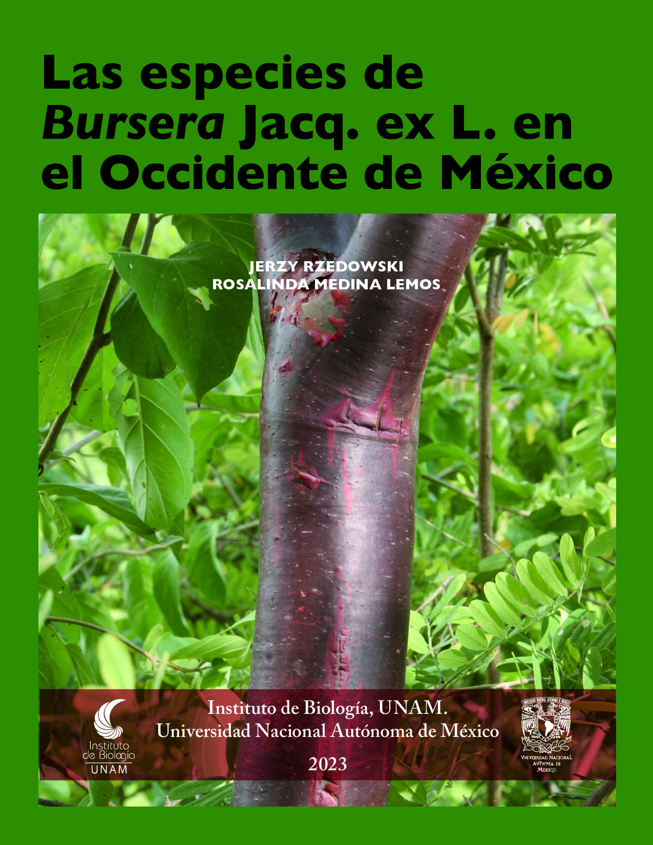 Las especies de Bursera jacq. ex L. en el Occidente de México
